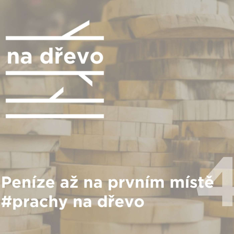 Obrázek epizody PENÍZE AŽ NA PRVNÍM MÍSTĚ #prachynadrevo #4