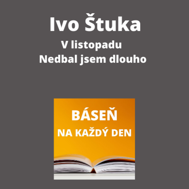 Obrázek epizody Ivo Štuka - V listopadu + Nedbal jsem dlouho