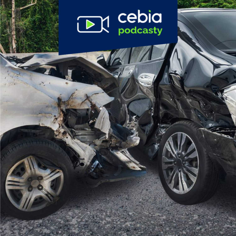 Obrázek epizody Jak správně pojistit auto – 2. část