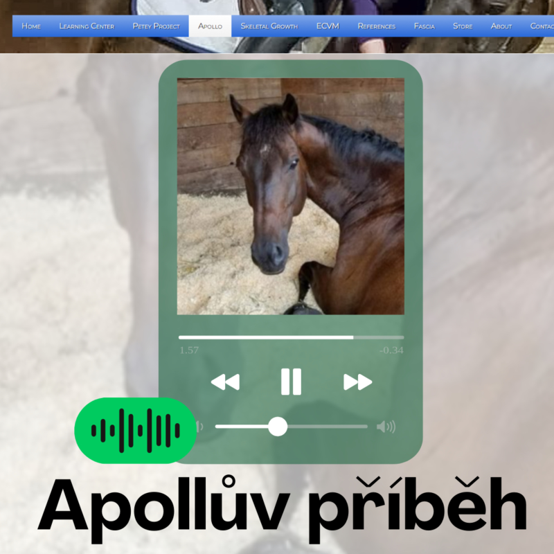 Obrázek epizody Apollův příběh - první část