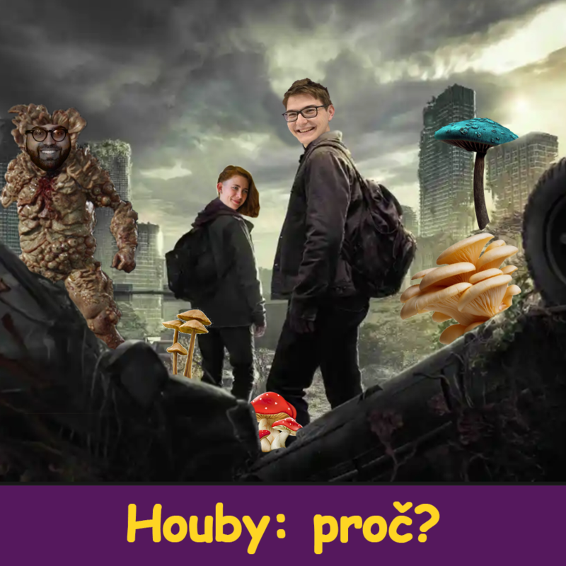Obrázek epizody Houby: Proč? w/ Bára - fylosofye #51