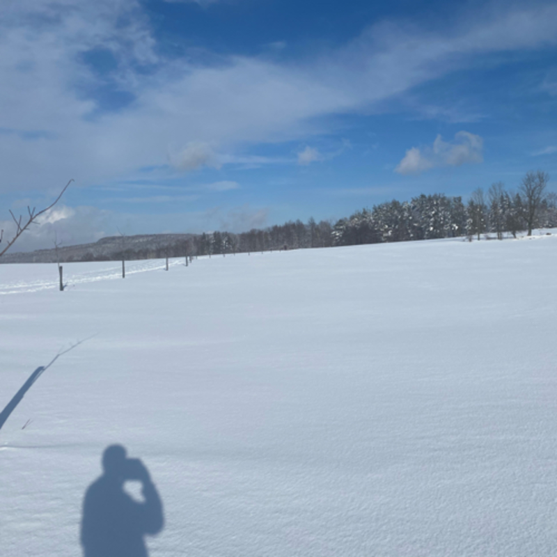Obrázek epizody O personě a stínu podle Jana 21