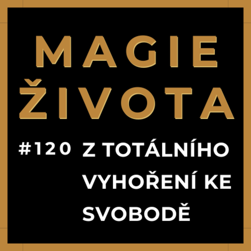 Obrázek epizody #120 - PŘIŠEL JSEM O VŠE | TRANSFORMAČNÍ PRŮVODCE ŽIVOTEM | EDUARD KOBLOV
