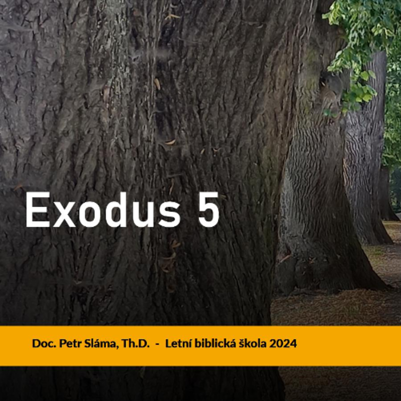 Obrázek epizody Komentář k vybraným textům z biblické knihy Exodus - 5.část