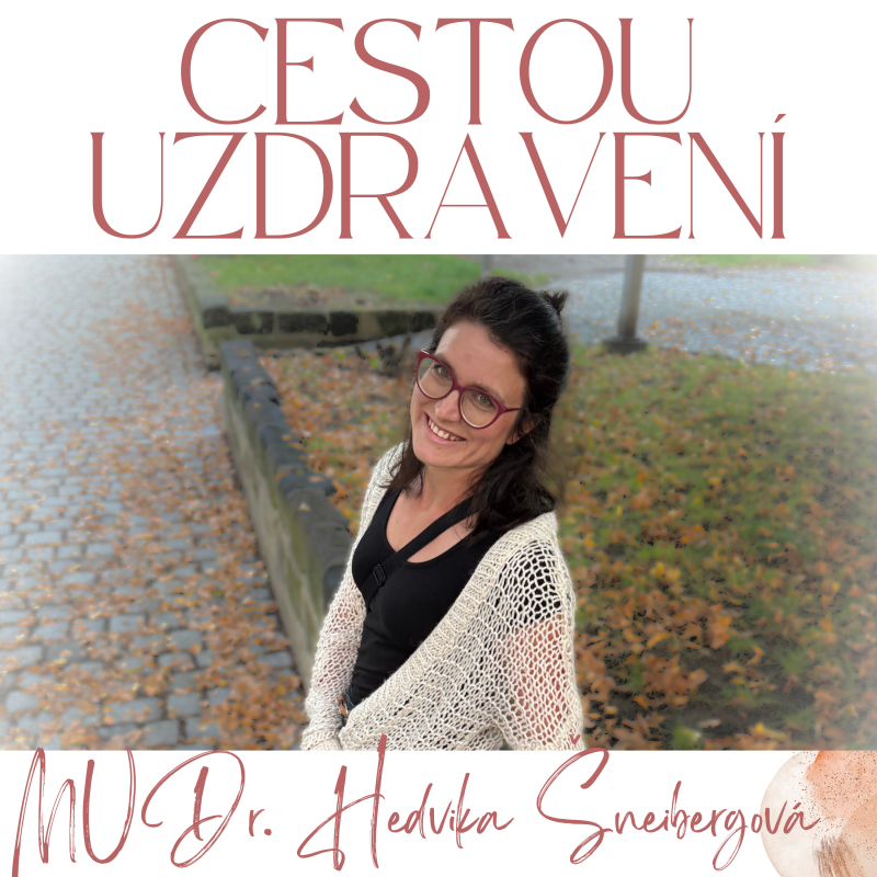 Obrázek epizody Vánoce uvnitř nás