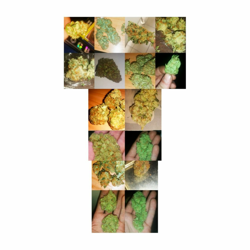 Obrázek epizody Damagedx