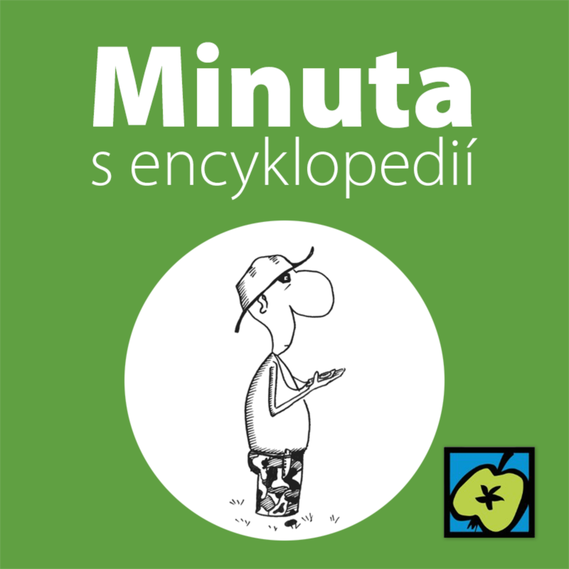 Obrázek epizody Kompas