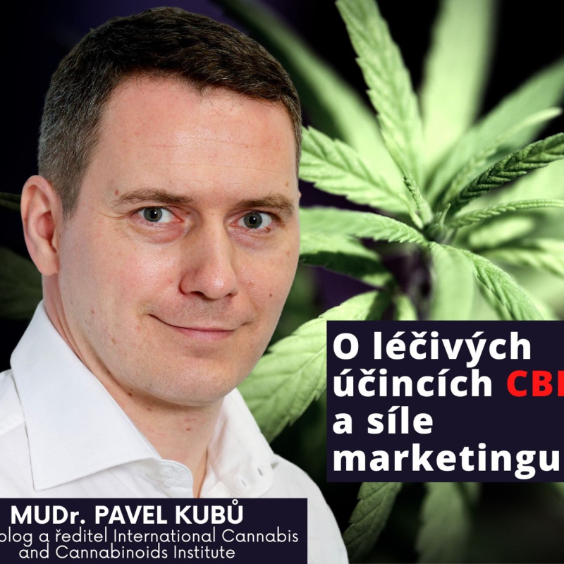 Obrázek epizody Zátiší 25/8/2021: MUDr. Pavel Kubů