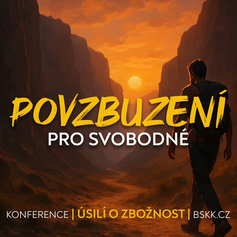 Obrázek epizody #02 Povzbuzení pro svobodné - seminář pro svobodné | Konference Úsilí o svatost 2024