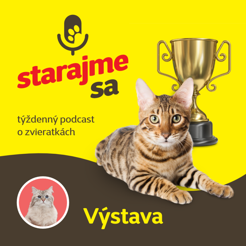 Obrázek epizody Mačky: Výstava