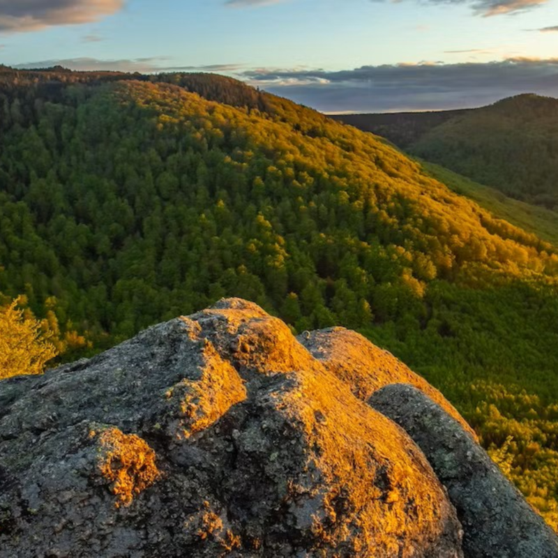 Obrázek epizody Jizerskohorské bučiny