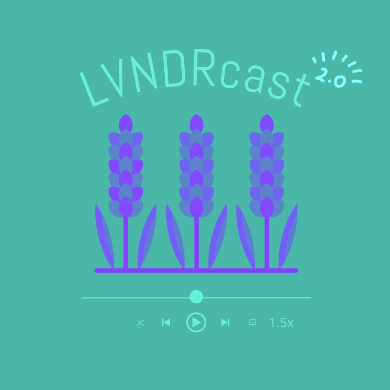 Obrázek epizody POTREFENÁ HUSA aneb Ornella zabíjí a lovci nás štvou