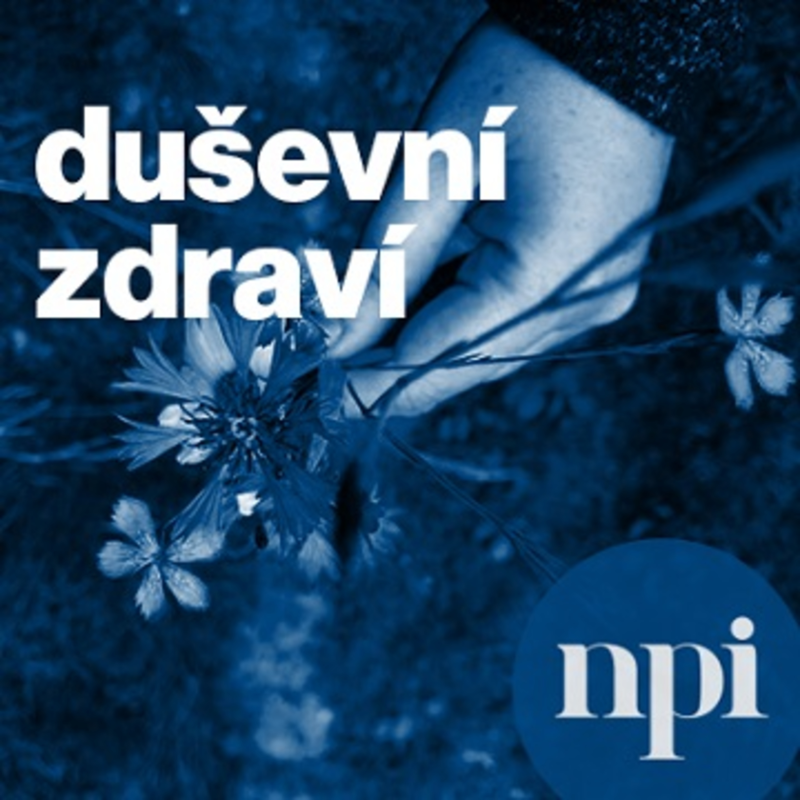 Obrázek epizody Psychologická podpora pro ředitele 2 - díl II - Neustálé změny a jak je přijímat