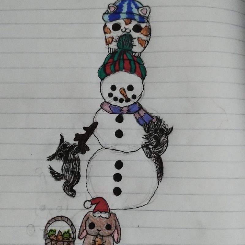 Obrázek epizody Jak postavili sněhuláka - Zvířecí útulek