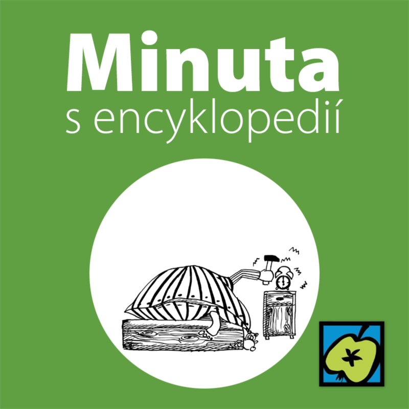 Obrázek epizody Letní čas