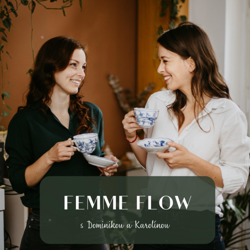 Obrázek epizody Dynamická fáze - dobrý sluha, špatný pán