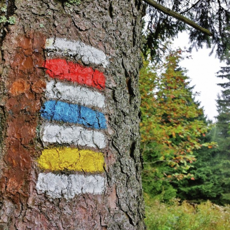 Obrázek epizody 11. květen - Den, kdy byla označena první turistická trasa