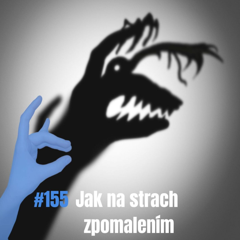 Obrázek epizody 155: Jak na strach zpomalením