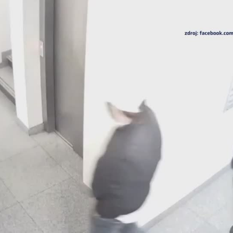 Obrázek epizody Odhalování soukromí