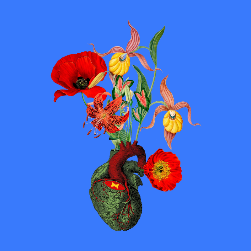 Obrázek epizody How to Save a Life