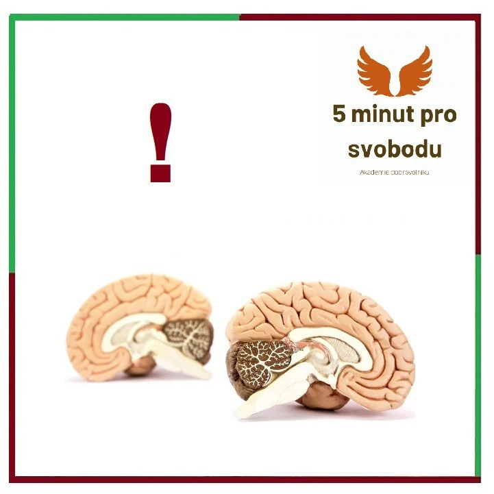 Obrázek epizody MOZKOŽROUTI