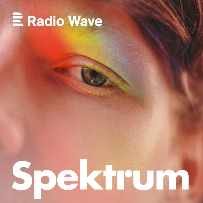 Obrázek epizody Spektrum: Vždyť jsi úplně normální! Co všechno brání včasné diagnostice autismu?