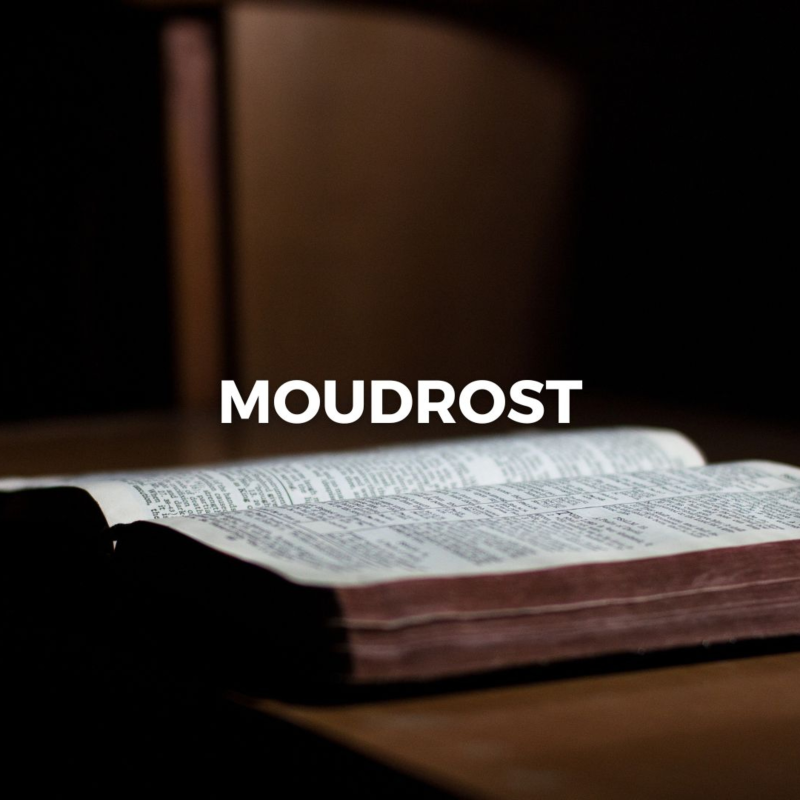 Obrázek epizody MOUDROST