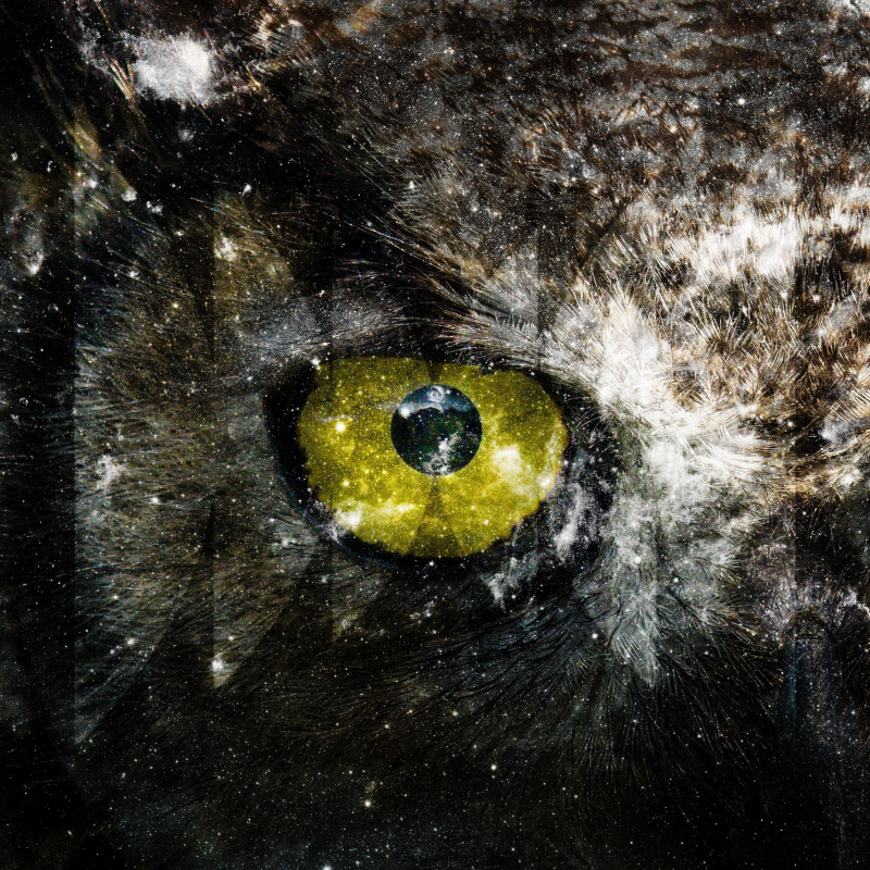 Obrázek epizody Quantum Birds