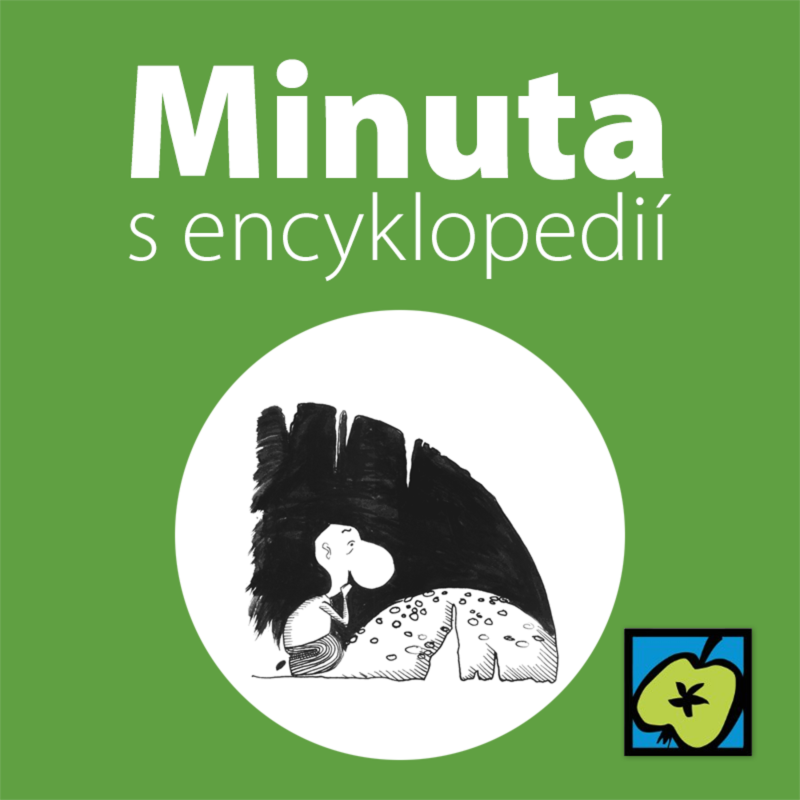 Obrázek epizody Koněpruské jeskyně