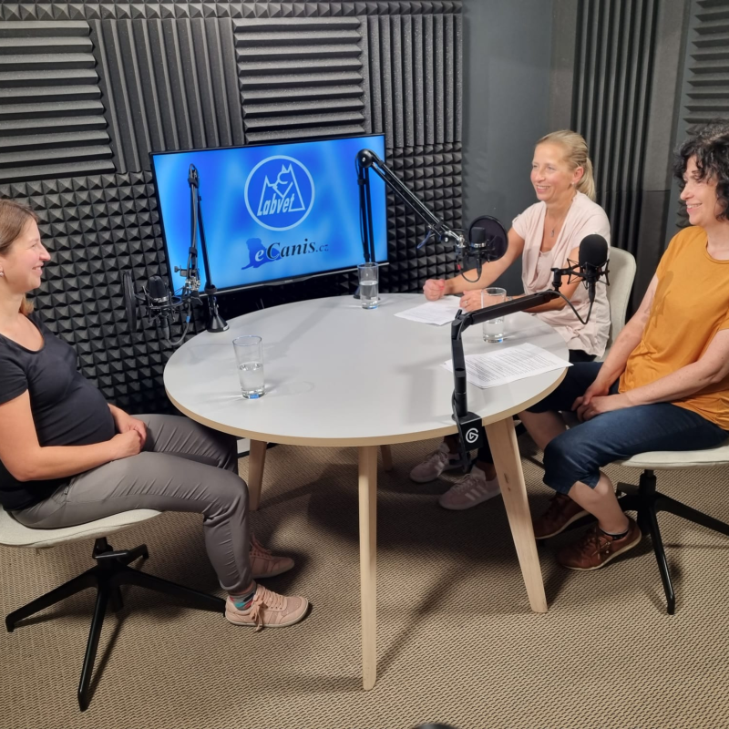 Obrázek epizody Jak vychovávat štěně