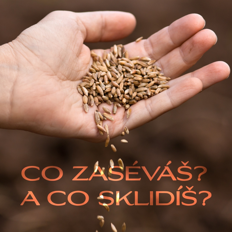 Obrázek epizody Co zaséváš? A co sklidíš? - Bogdan Walek (25.8.2024)