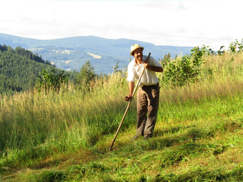 Obrázek epizody Kosení jako návrat k procítěnějšímu životu