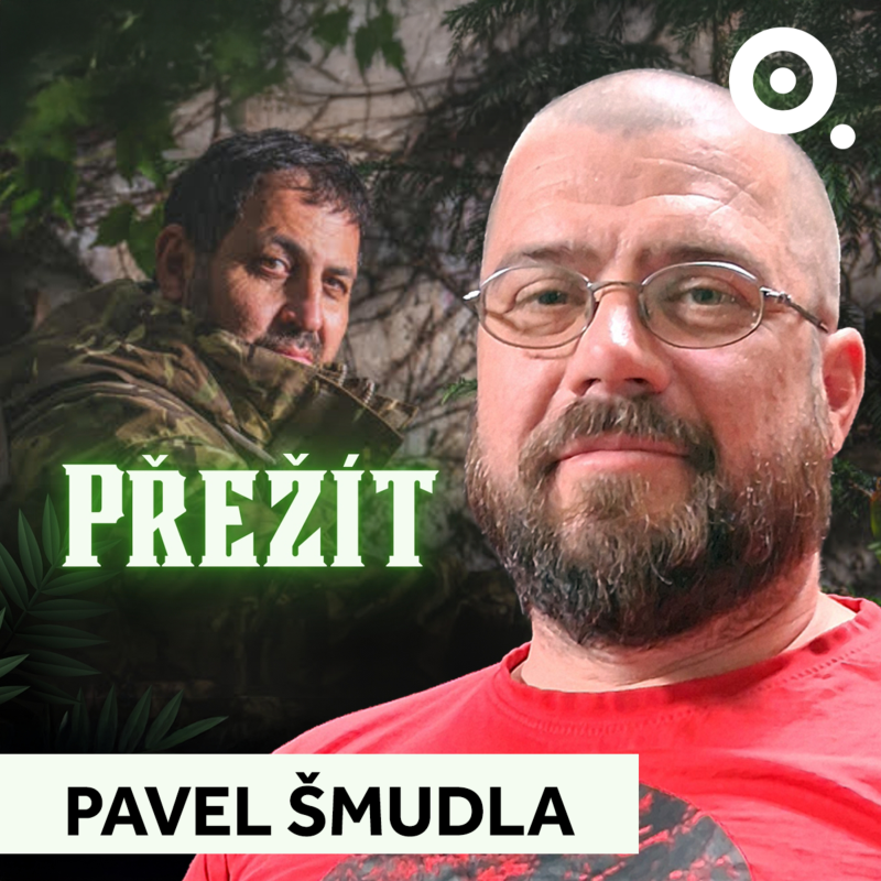 Obrázek epizody Když zaútočí pes, bojujte, radí armádní psovod. Na bojová plemena by měli lidé skládat zkoušky