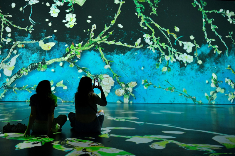 Obrázek epizody Není nutné mít na přátelský vztah absolutní nároky