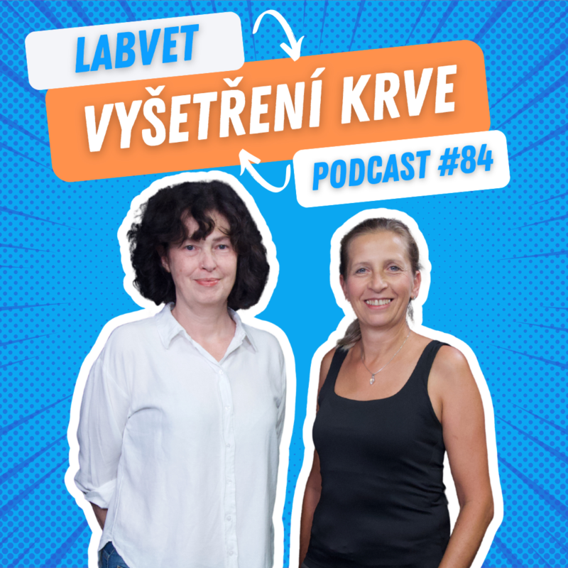 Obrázek epizody 🩸 Vyšetřenà krve 🩸| Labvet Podcast #84