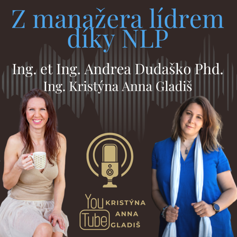 Obrázek epizody #0234 Z manažera lídrem díky NLP