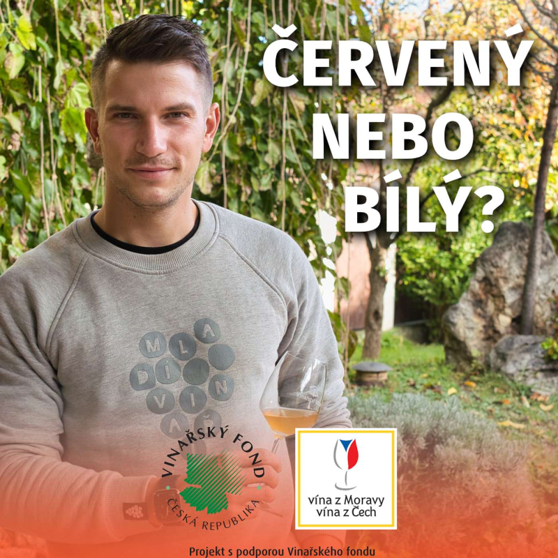 Obrázek epizody 012: Vojta Válka o Mladých vinařích, práci ve sklepě a oranžové Pálavě