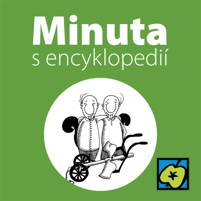 Obrázek epizody Ruchadlo