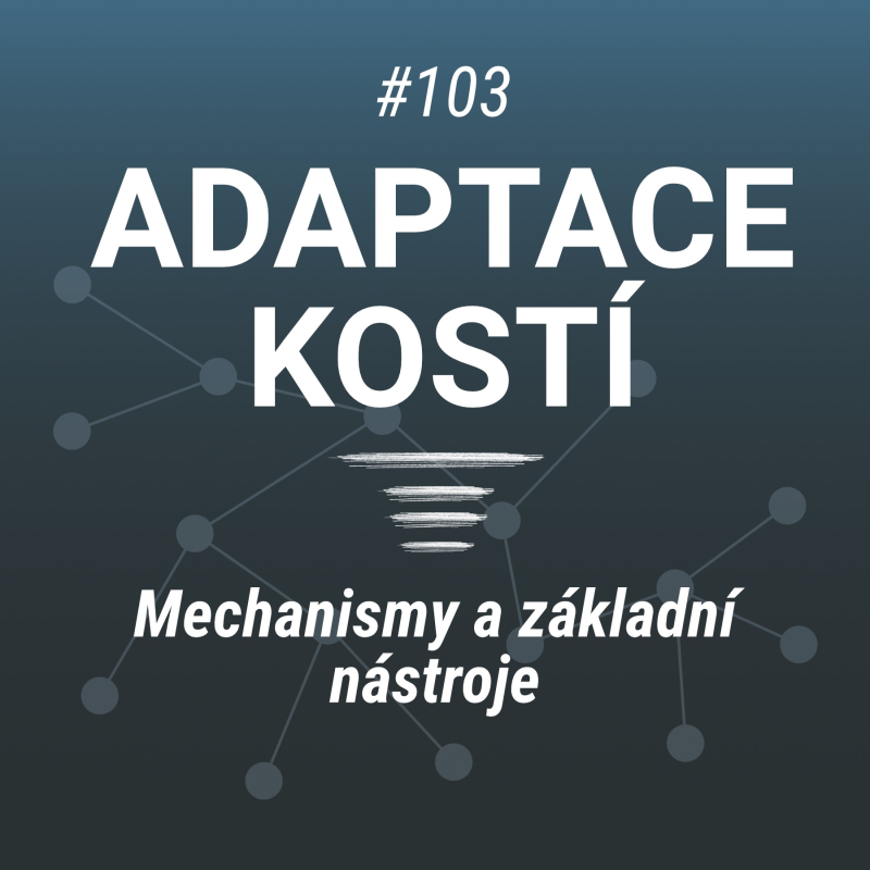 Obrázek epizody Trénink a silné kosti? - Adaptace kostní tkáně - #103