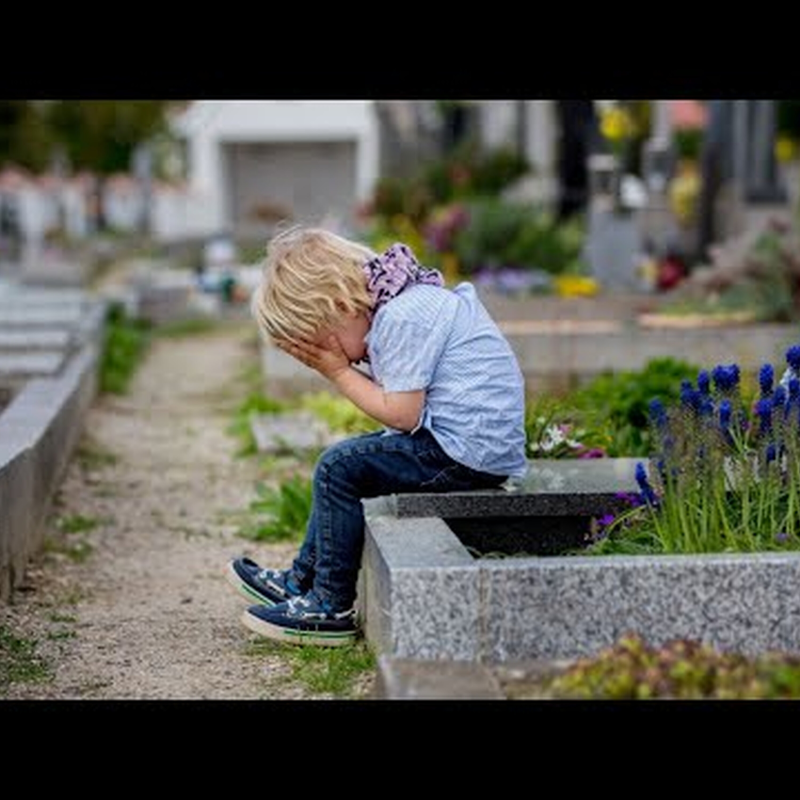 Obrázek epizody Jak s dětmi mluvit o smrti?