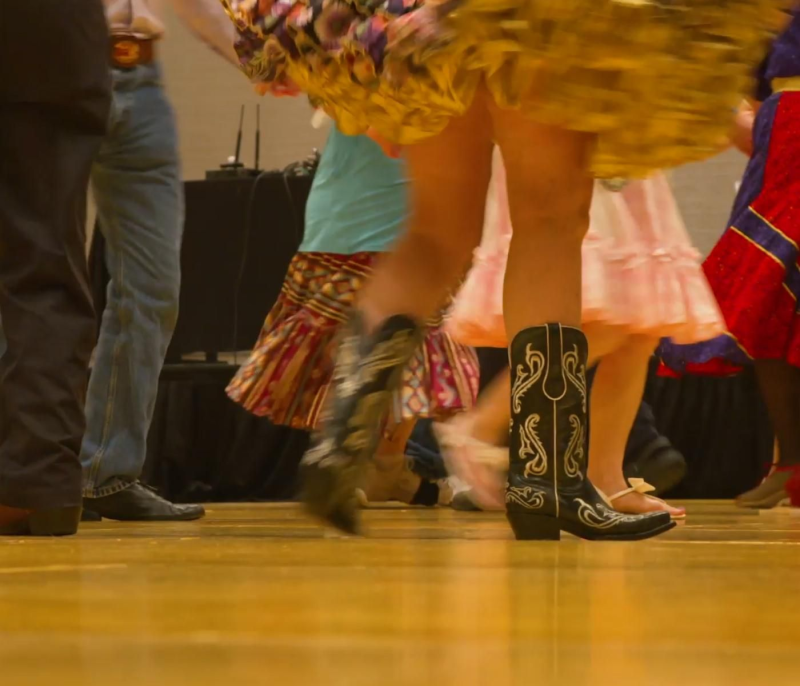 Obrázek epizody Birdie in the Cage