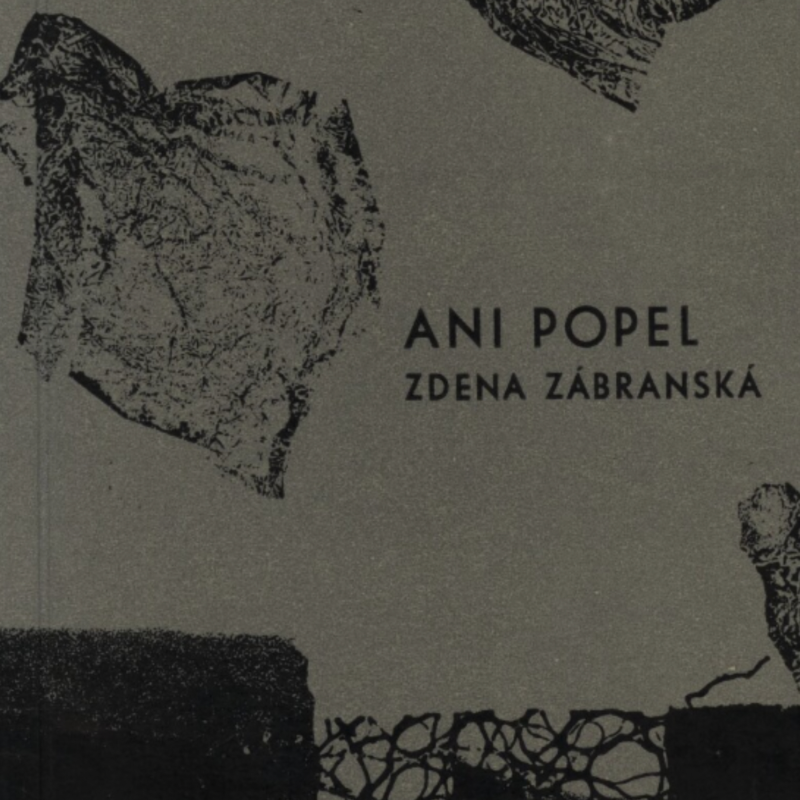 Obrázek epizody Zdena Zábranská - Ani popel (čtení ze sbírky)