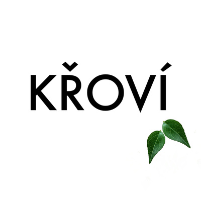 Obrázek epizody S0E06 - Rozálie Kašparová: Architektka, která tvoří Prahu, ale miluje New York