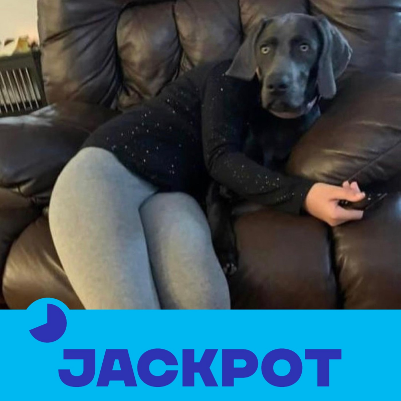 Obrázek epizody JACKPOT 13