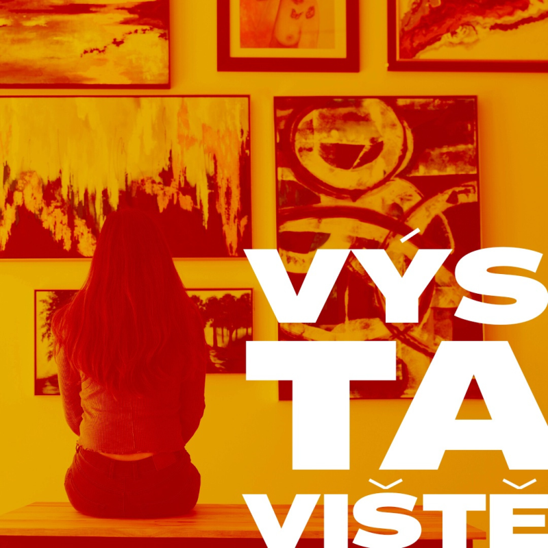 Obrázek epizody Yoko Ono, aukce a želvy ninja