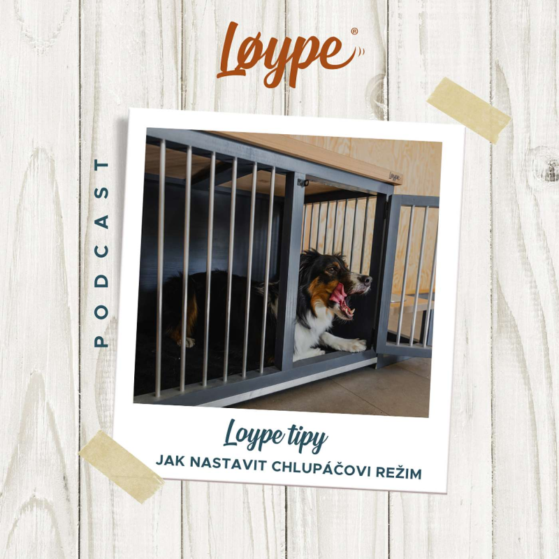 Obrázek epizody 127 | Jak nastavit chlupáčovi režim | Loype tipy