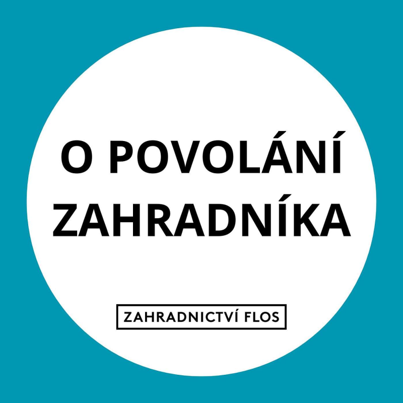 Obrázek epizody O povolání zahradníka