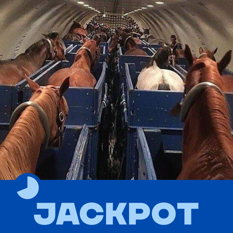 Obrázek epizody JACKPOT 87