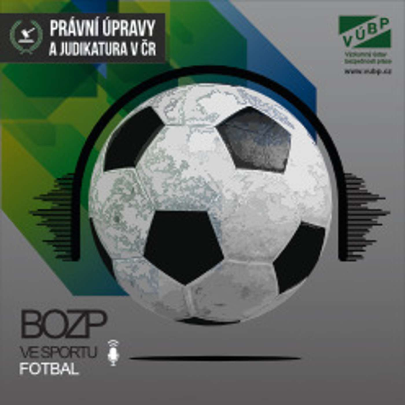 Obrázek epizody Právní úpravy a judikatura v ČR