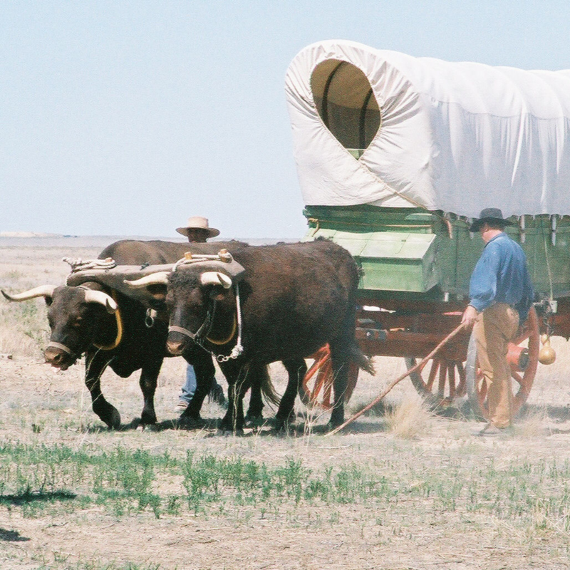 Obrázek epizody S Dušanem Neumannem o Oregonské stezce a Libickém Trailu